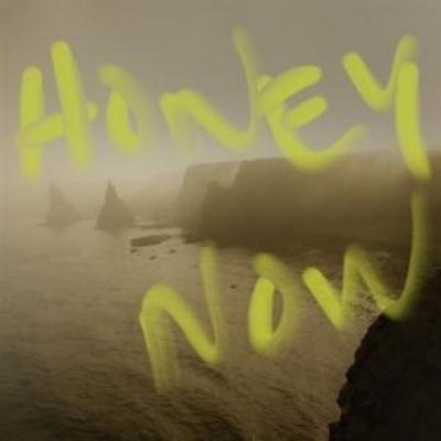 Neon Waltz: Honey Now - Neon Waltz, CD