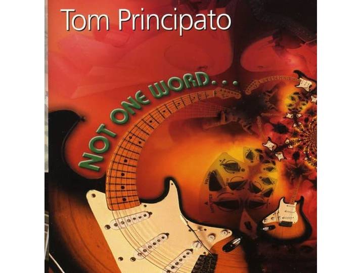 Tom Principato - Not One Word