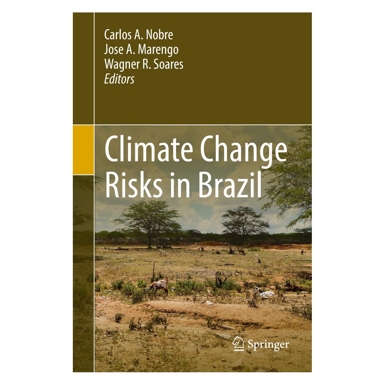 Springer Climate Change Risks in Brazil (9783319928807)