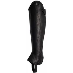 Chaps TO Sirius black 44/41
