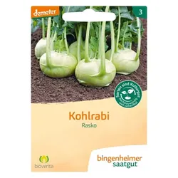Bingenheimer Saatgut Kohlrabi Rasko demeter