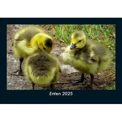 Enten 2025 Fotokalender DIN A5