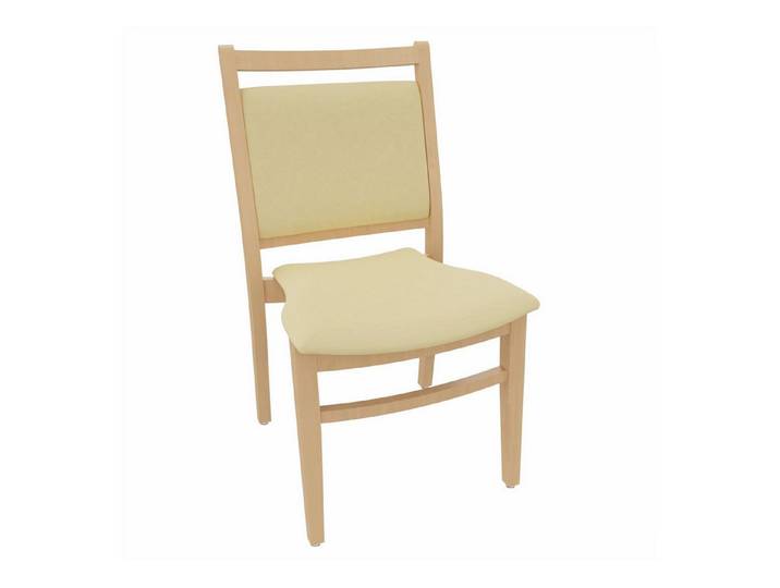 einrichtungsdesign24 Esszimmerstuhl André ohne Armlehnen – Ideal für Senioren im Pflegeheim oder Zuhause, Seniorenstuhl, Pflegestuhl
