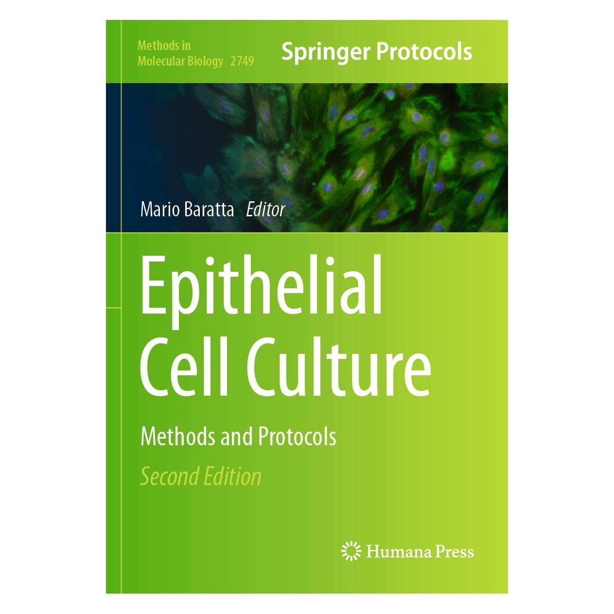 Springer Epithelial Cell Culture (Englisch, Softcover, Mario Baratta) (57180430)