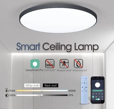 Evergreen Home Goods Modern Smart LED Ceiling Lamp Dimmable, APP And Remote Control For Bedroom, Living Room 36w White Border changeable