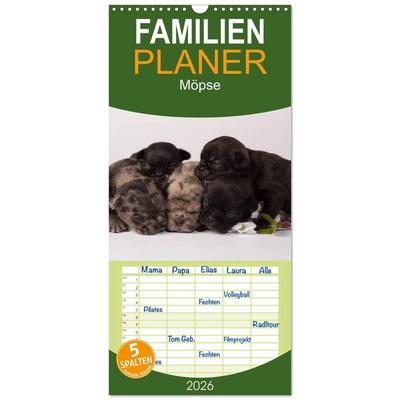 Familienplaner 2026 - Möpse mit 5 Spalten (Wandkalender, 21 x 45 cm) CALVENDO