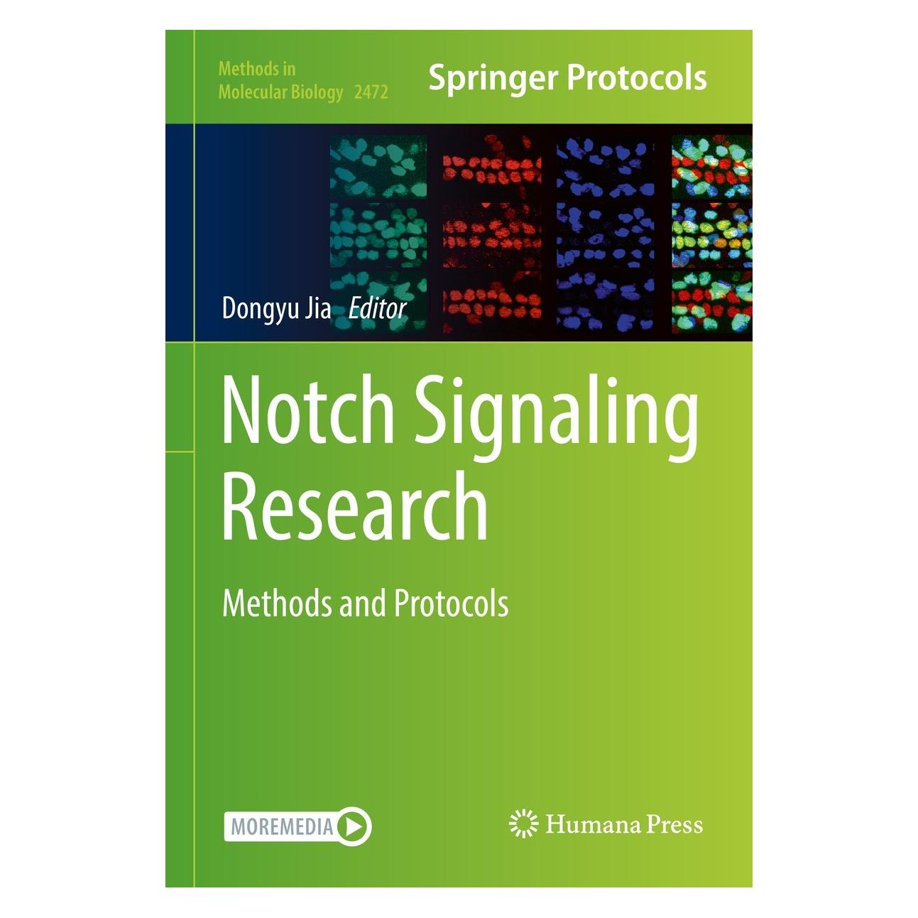 Springer Notch Signaling Research (Englisch, Hardcover, Dongyu Jia) (9781071622001)