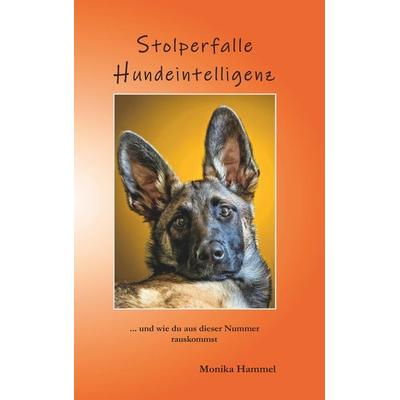 Stolperfalle Hundeintelligenz, Taschenbuch von Hammel Monika, Buchschmiede, 978-3-99125-838-4