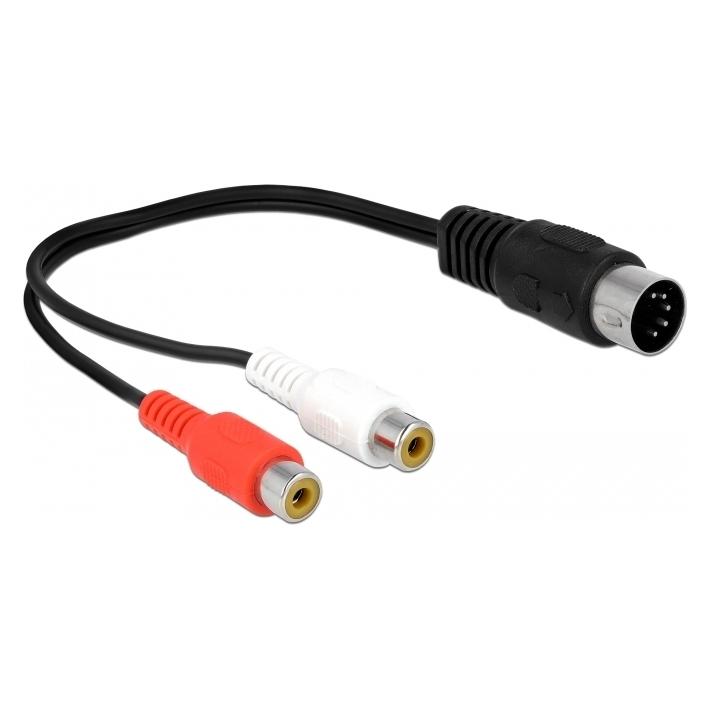 Delock 2in1 (0.20 m, Cinch Kabel) (85835)