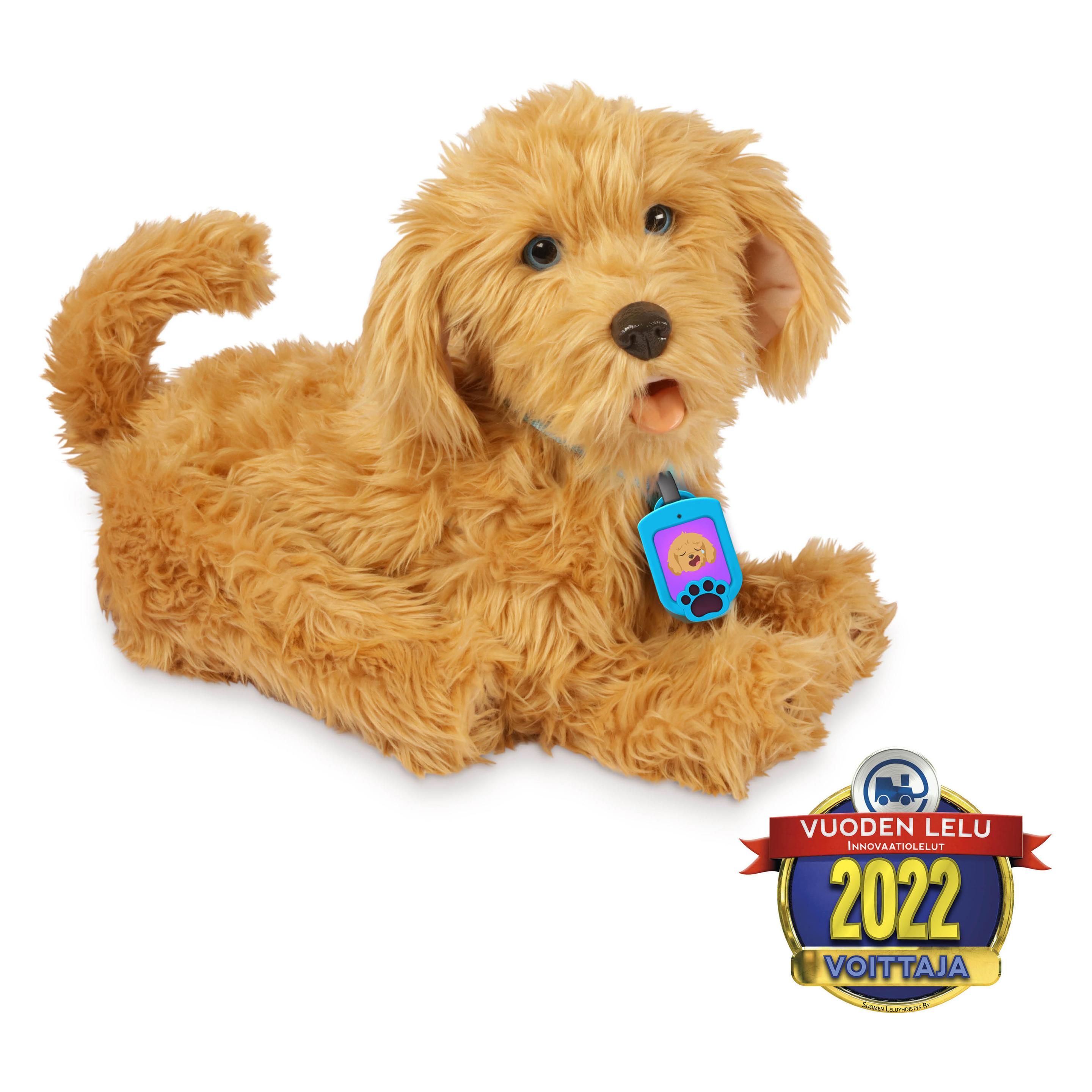 JTI Mein flauschiger Freund Moji Labradoodle (0810017185757)