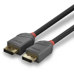 Lindy 36482 DisplayPort-Kabel 2 m Schwarz