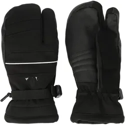 Whistler Allegro 3 Finger Skihandschuhe 1001A - black 5