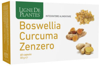 Natura Service Boswellia/curc/zenz.60cps Nse