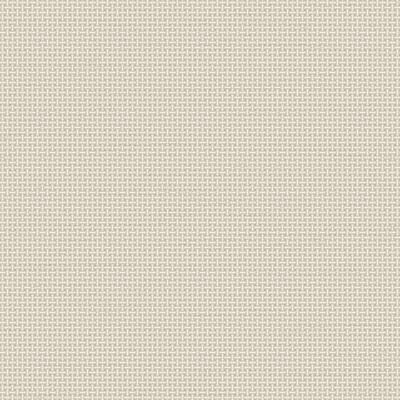 Veer Decor Cane Lattice Wallpaper