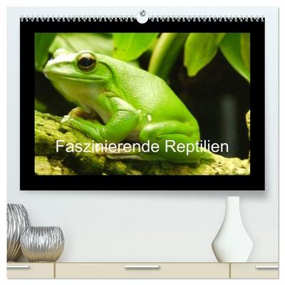 Faszinierende Reptilien (hochwertiger Premium Wandkalender 2026 DIN A2 quer), Kunstdruck in Hochglanz