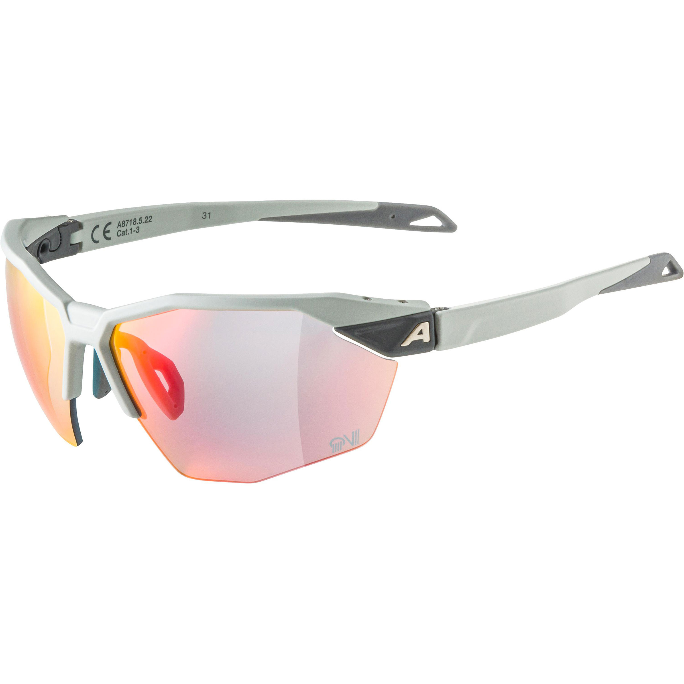 Alpina Twist Six HR QV 1-3 Sportbrille Sportbrillen & Sportsonnenbrillen grau Mountainbike | Rennrad | Gravel
