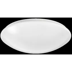 Ridi-Leuchten LED-Anbauleuchte RUFO2360DAWS840H0250