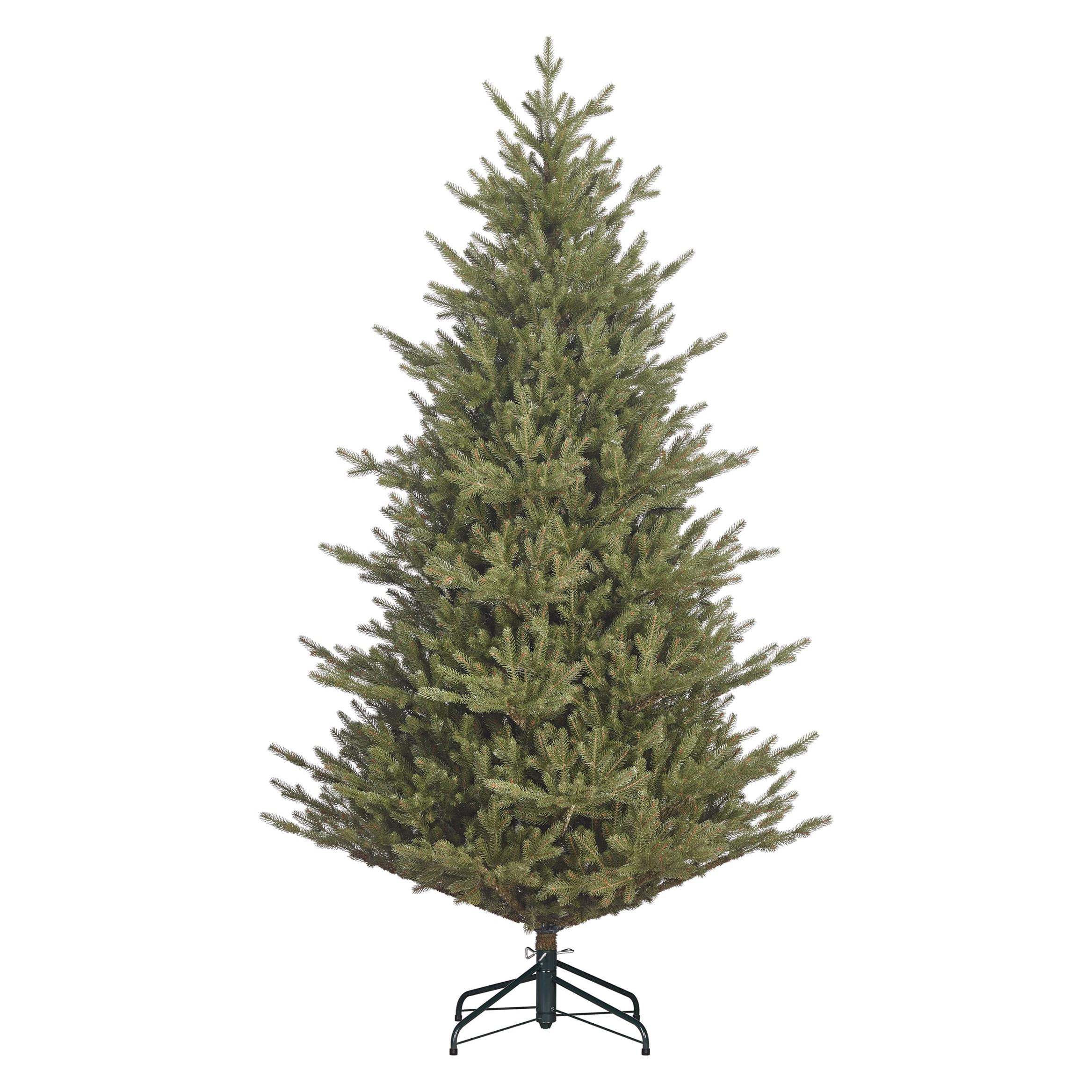 Black Box Trees Ein echter Meraner Weihnachtsbaum mit Lichtern, 185 cm (185 cm) (77317674)