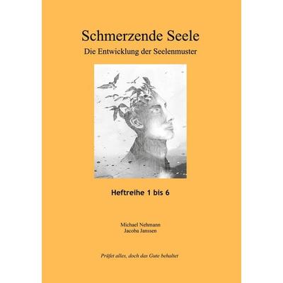 Schmerzende Seele, Gebundene Ausgabe von Michael Nehmann,Jacoba Janssen, BoD – Books on Demand, 978-3-7347-0244-0