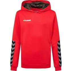 hummel Authentic Hoodie Kinder - rot/schwarz - 116