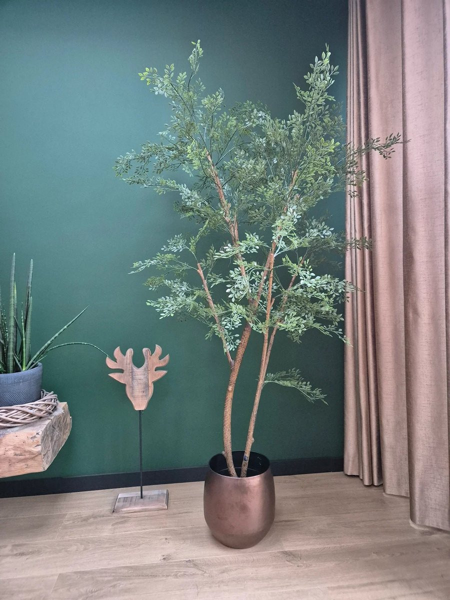 Florafy Kunstplant Ficus Cassia 180 cm - Onderhoudsvrije kunstboom voor binnen