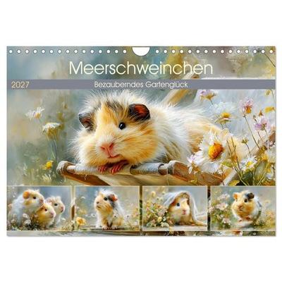 Meerschweinchen. Bezauberndes Gartenglück (Wandkalender 2027 DIN A4 quer), CALVENDO Monatskalender
