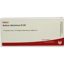 Bulbus Olfactorius Gl D 5 10 ML