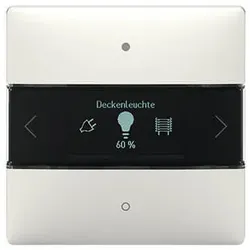 Theben Raumcontroller LUXORliving iON8