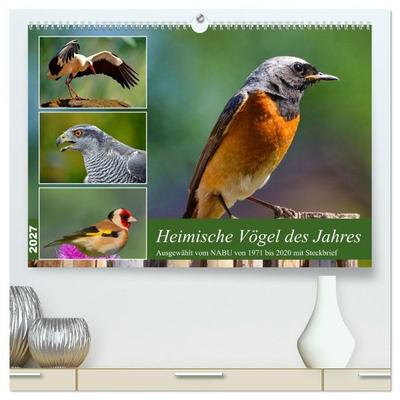 Heimische Vögel des Jahres (hochwertiger Premium Wandkalender 2027 DIN A2 quer), Kunstdruck in Hochglanz