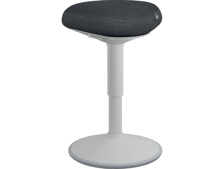 Leitz Ergo Active Zitkruk met Comfortzitting - Bureaukruk - Ergonomische Kruk - Grijs