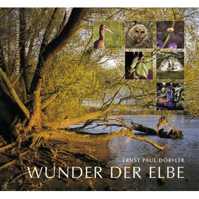 Wunder der Elbe, Paperback von Ernst Paul Dörfler, Stekovics, J, 978-3-932863-40-0