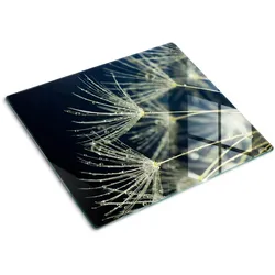GLASPLATTE 60x52 cm Löwenzahn