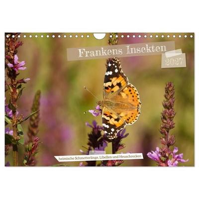 Frankens Insekten (Wandkalender 2027 DIN A4 quer), CALVENDO Monatskalender