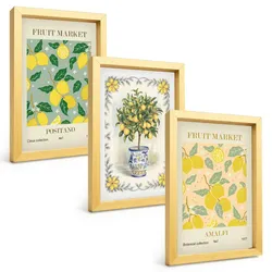 BILDER SET 3er Set - 20x30 cm Goldrahmen - Zitrusfrüchte aus Italien