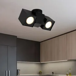 Deckenlampe Deckenleuchte Spotlampe Dreh-schwenkbar Metall Schwarz 2-Flammig