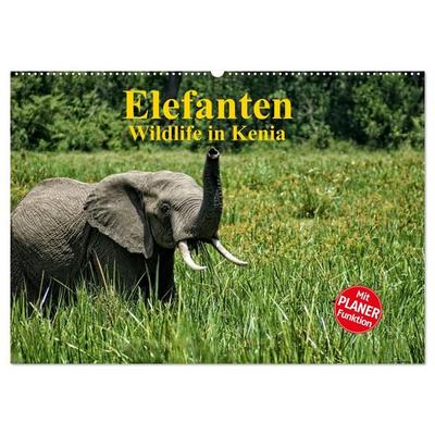 Elefanten. Wildlife in Kenia (Wandkalender 2027 DIN A2 quer), CALVENDO Monatskalender