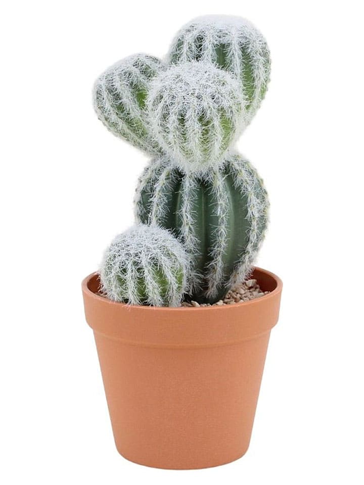 Ornami Kunstpflanze in Grün/ Hellbraun - (H)26 cm - onesize