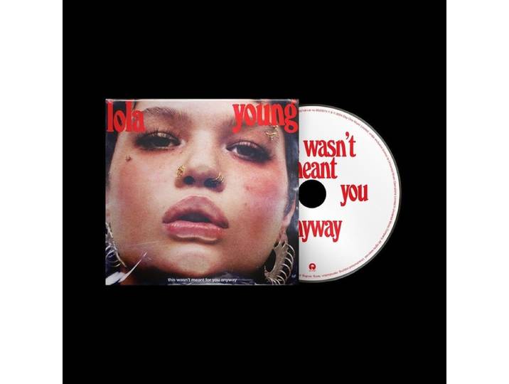 This Wasn't Meant For You Anyway