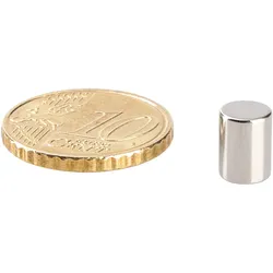 10 Stabmagnete, Neodym, 6 mm x 8 mm, N48, vernickelt, Haftkraft 1,6 kg, silber