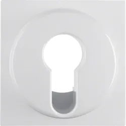 Berker Zentralstück pws/gl 15078989