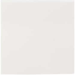 Busch-Jaeger LFW/A.1.55.11-914 Abdeckung, 1-fach, für Keypad, Busch-balance® SI 2CKA006199A0163 LFWA15511914