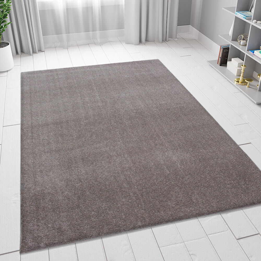 Rio Hearld Rectangle Area Rug Beige Rectangle 120cm x 170cm