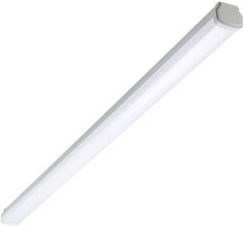 Philips LED Ledinaire WT060C L1500 LED-Feuchtraumleuchte LED LED fest eingebaut 28 W Neutralweiß Grau, Weiß
