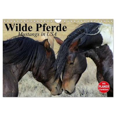 Wilde Pferde. Mustangs in USA (Wandkalender 2026 DIN A4 quer), CALVENDO Monatskalender