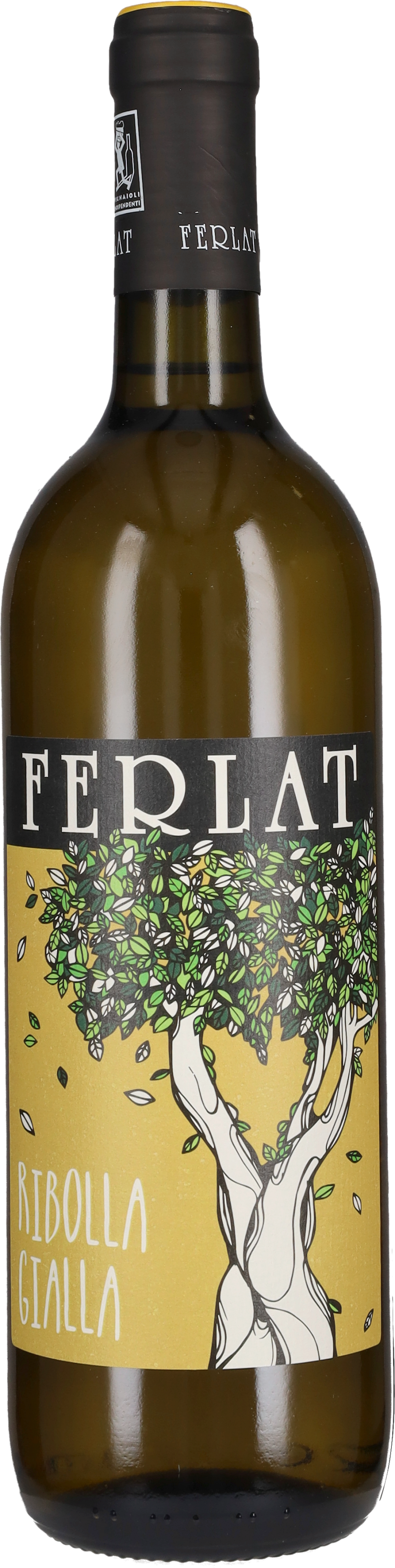 Ribolla Gialla Ferlat 2024