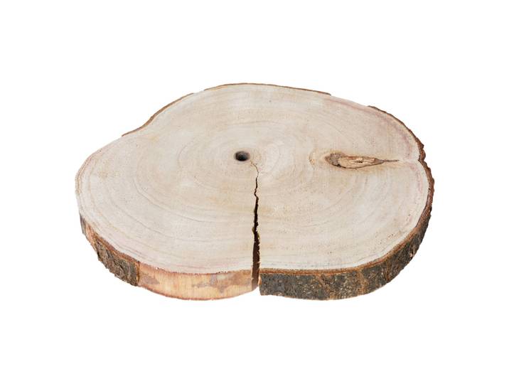 Untersetzer aus Holz, Baumstamm Scheiben als Dekoration aus Holz, 31 x 31 x 3 cm