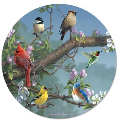 Counterart Glass Lazy Susan - Beautiful Songbirds - 13x.027