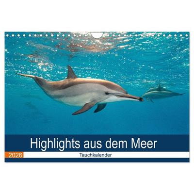 Highlights aus dem Meer - Tauchkalender (Wandkalender 2026 DIN A4 quer), CALVENDO Monatskalender