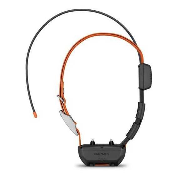 Garmin GPS Alpha TT25 GPS collar, (alt MCU), EU (GARMIN)