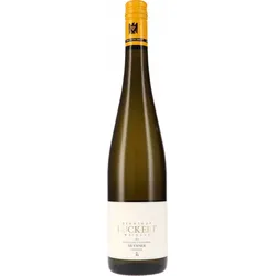 Sonnenberg Silvaner -Gelbkalk- trocken VDP Erste Lage Weingut Zehnthof 2024 BIO